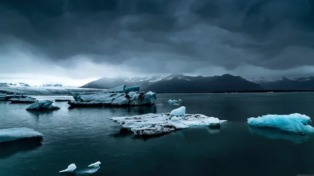 Glacier ice chunks floating on calm arctic water beneath a gray overcast sky