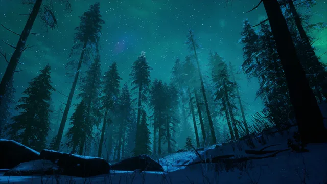Aurora above a forest at night