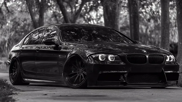 Black BMW M760 photographed low against a monochrome woodland