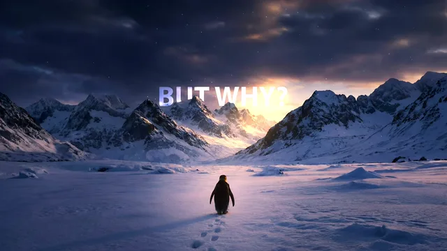 Lone penguin crossing a snowy mountain valley beneath BUT WHY text