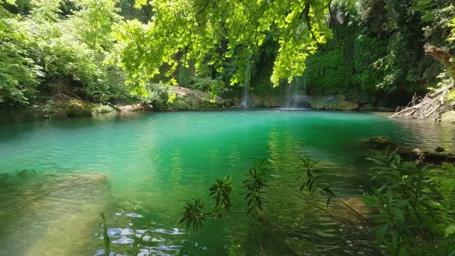Emerald forest lagoon beneath sunlit leaves and small waterfalls