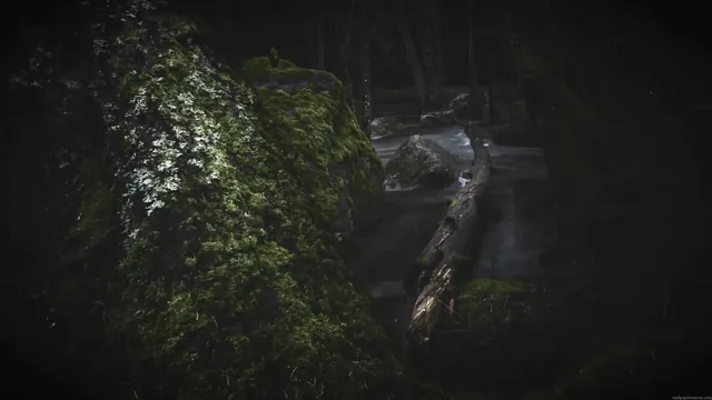 Rainfall over a stream running through a dark forest in a 4K live wallpaper