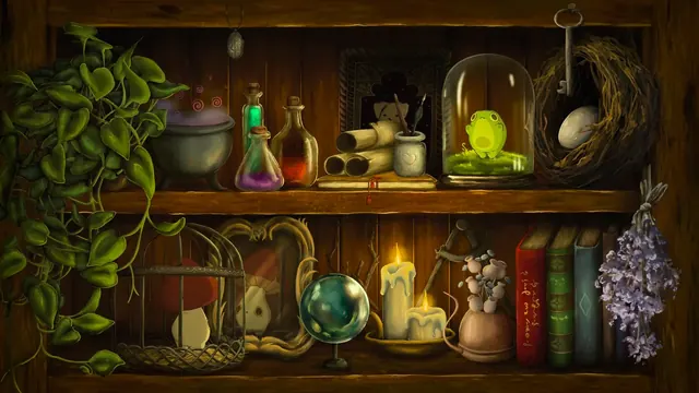 Fantasy shelf with bottles, candles, dried plants, and a glowing frog