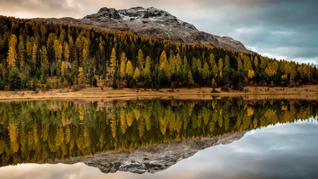 Golden autumn trees and a mountain reflected in a calm lake.