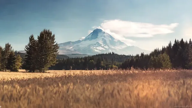 Golden wheat field and mountain in a wide 4K landscape