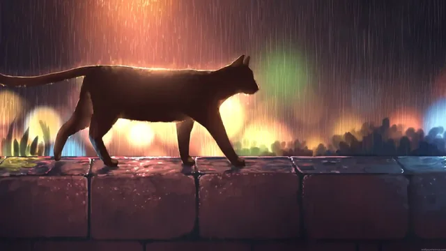 Lonely cat in nighttime rain shown in a 4K animal live wallpaper