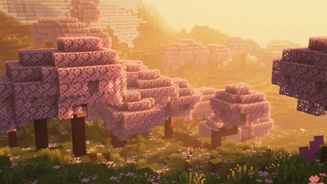 Minecraft valley with rows of cherry blossom trees glowing in warm sunrise haze