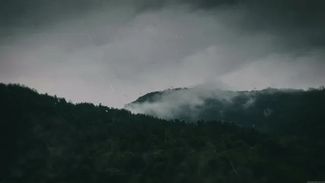 Rain falling over dark forest hills wrapped in low mist