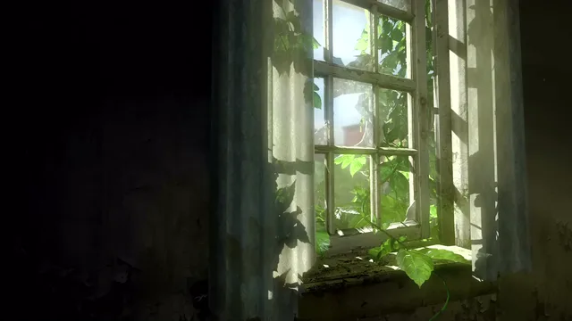 Ivy growing through a sunlit broken window in an abandoned room